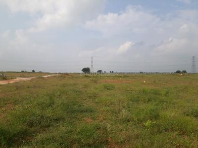 Residential Plot