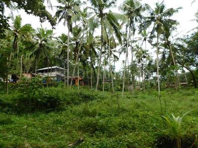 Gallery Cover Image of Sq.ft Residential Plot for buy in Karimankulam for 900000