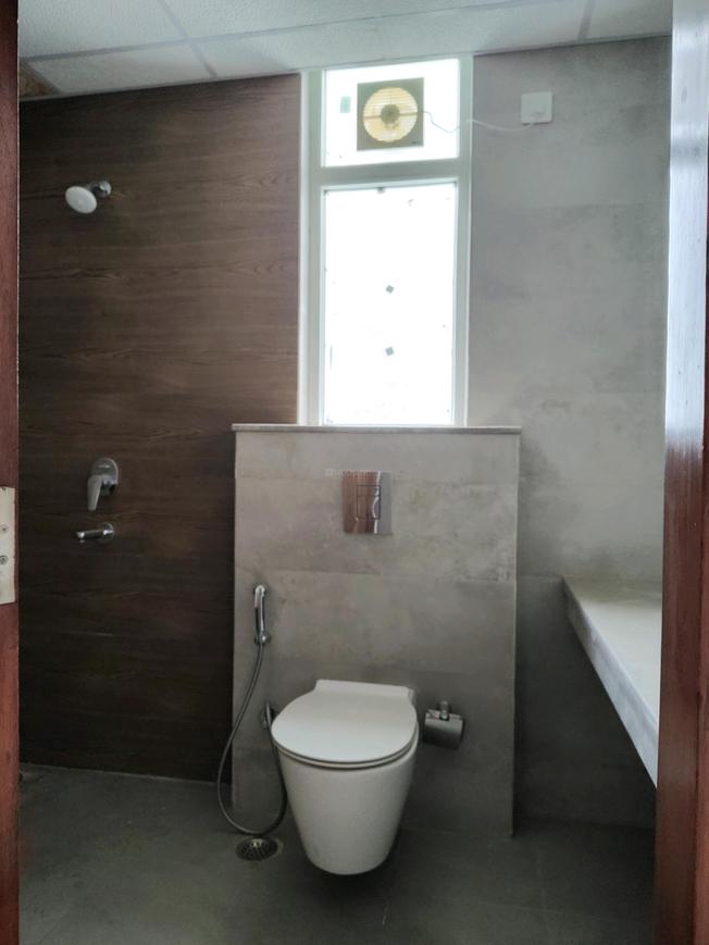 ACE Ace Starlit - Image 8