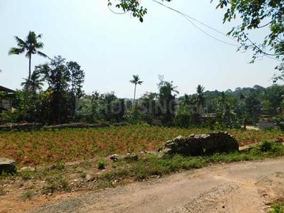 Residential Plot