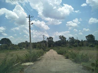 Residential Plot