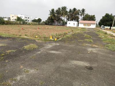 Gallery Cover Image of 1500 Sq.ft 3 BHK Villa for buy in Kalapatti for 3500000