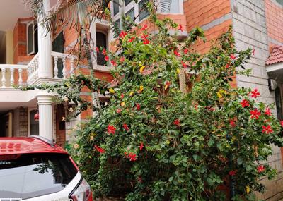 Gallery Cover Image of 4000 Sq.ft 4 BHK Independent House for buy in Adyar for 60000000