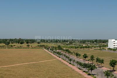 Gallery Cover Image of Sq.ft Residential Plot for buy in Mango for 425000