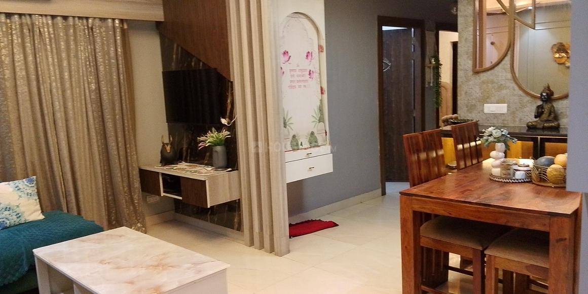 ACE Divino - Image 5