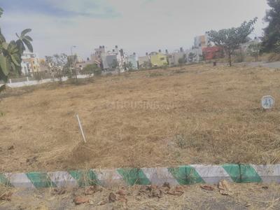 Residential Plot