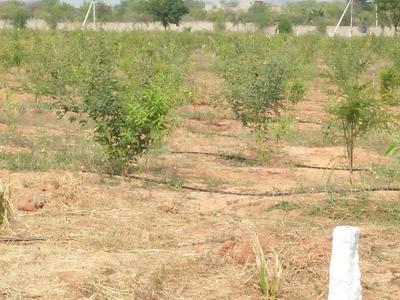 Residential Plot