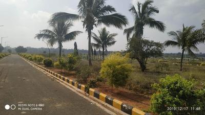 Residential Plot