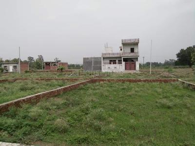 Gallery Cover Image of Sq.ft Residential Plot for buy in Naubasta for 770000