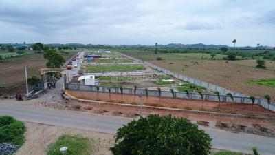 Gallery Cover Image of Sq.ft Residential Plot for buy in Pedda Amberpet for 4900000