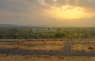 Residential Plot