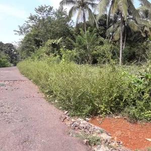 Gallery Cover Image of Sq.ft Residential Plot for buy in Thana for 3300000