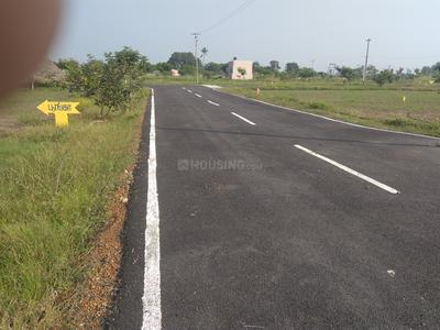 Residential Plot