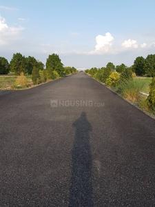 Gallery Cover Image of Sq.ft Residential Plot for buy in Kankipadu for 1200000