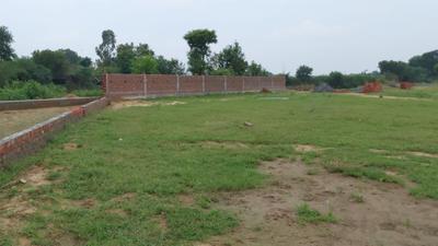 Residential Plot