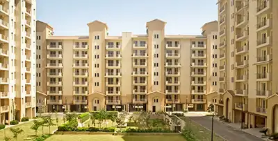 3 BHK Apartment
