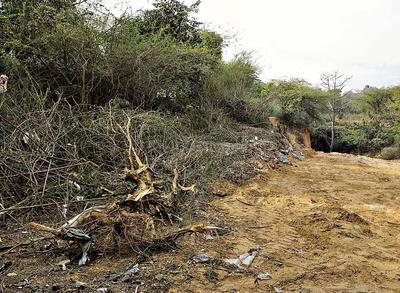 Gallery Cover Image of Sq.ft Residential Plot for buy in Sector 13 for 20000000