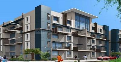 3 BHK Apartment