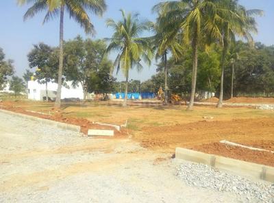 Residential Plot