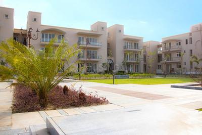 Residential Plot