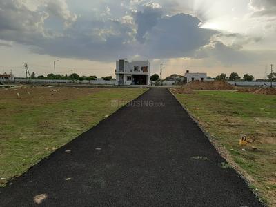 Residential Plot