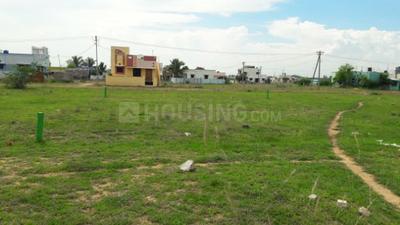 Gallery Cover Image of Sq.ft Residential Plot for buy in Veppampattu for 1215000