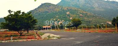 Residential Plot