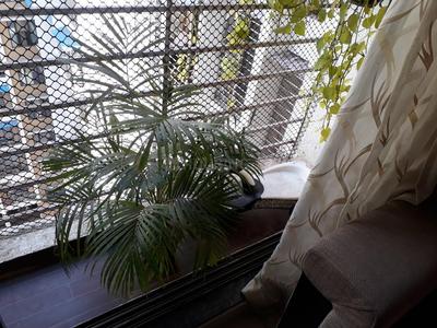 Gallery Cover Image of 675 Sq.ft 1 BHK Apartment for buy in Ulwe for 5500000