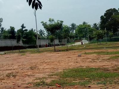 Residential Plot