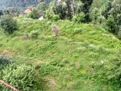 Gallery Cover Image of Sq.ft Residential Plot for buy in Bagh for 110000000
