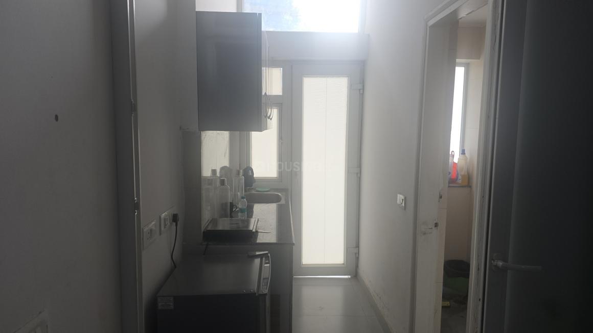 S P Nx One - Image 4