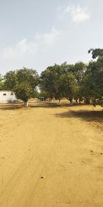 Residential Plot