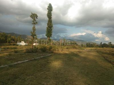 Residential Plot