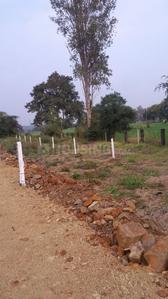 Residential Plot