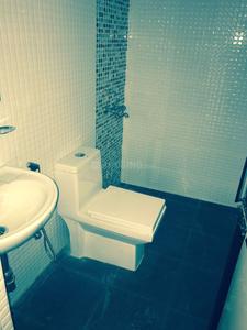 Common Bathroom Image of Safe House PG in DLF Phase 4