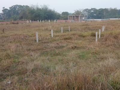 Residential Plot