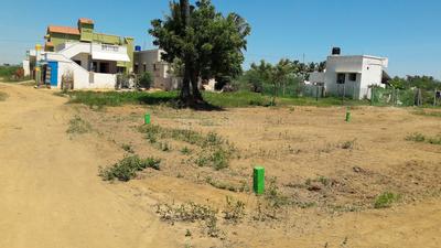 Residential Plot