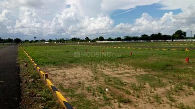 Gallery Cover Image of Sq.ft Residential Plot for buy in Chengalpattu for 1071000