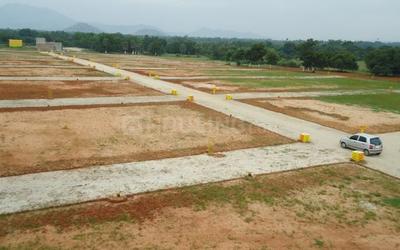 Gallery Cover Image of Sq.ft Residential Plot for buy in Sector 9 for 27684900