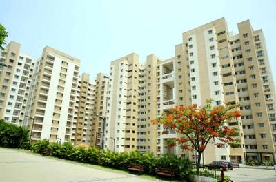 3 BHK Apartment