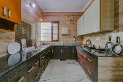 Kitchen Image of Oyo Life Grg1719 Unitech Cyber Park in Sector 39