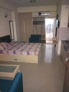 1 RK Apartment