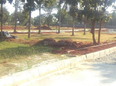 Residential Plot