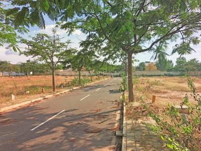 Residential Plot