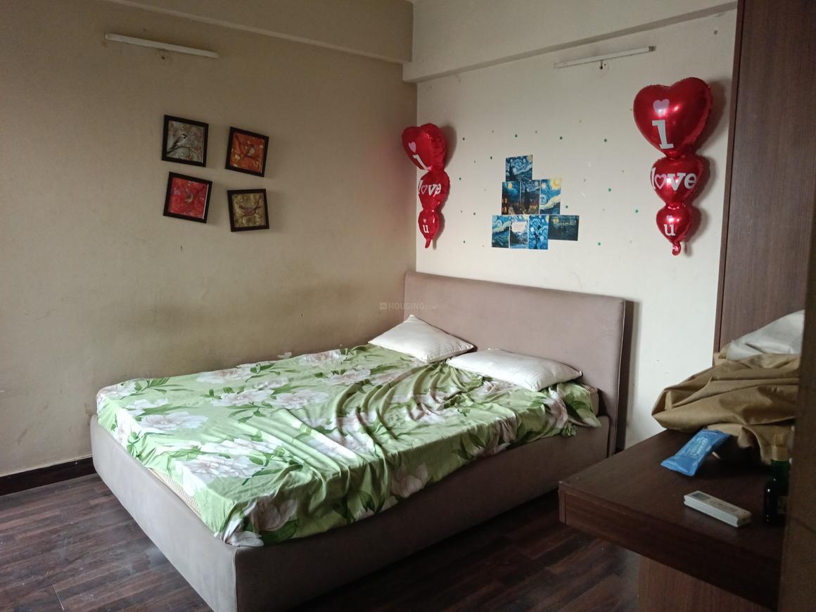 Paras Tierea - Image 9