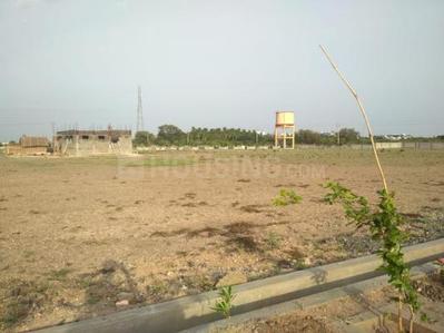 Residential Plot
