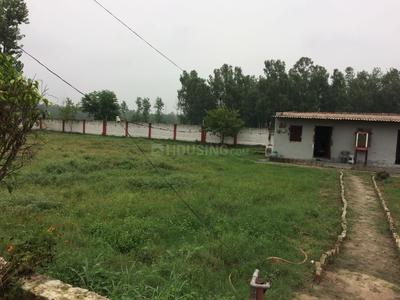 Gallery Cover Image of Sq.ft Residential Plot for buy in Jwalapur for 800000