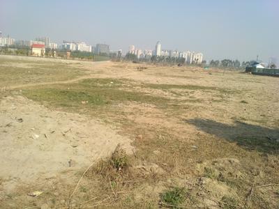 13140 Sq.ft Residential Plot for Sale in Sector 133, Noida
