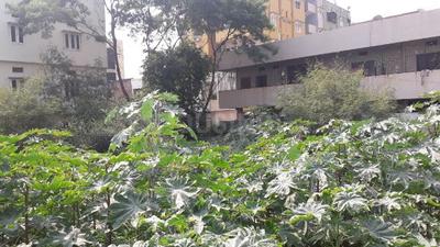 Gallery Cover Image of Sq.ft Residential Plot for buy in Tarnaka for 25000000