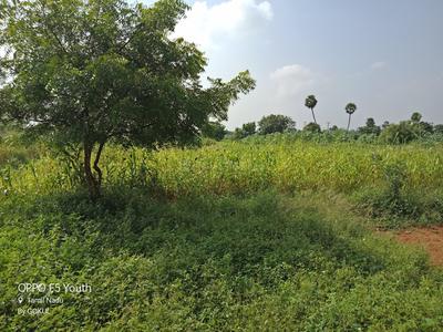 Gallery Cover Image of Sq.ft Residential Plot for buy in Kailasampalayam for 10005000